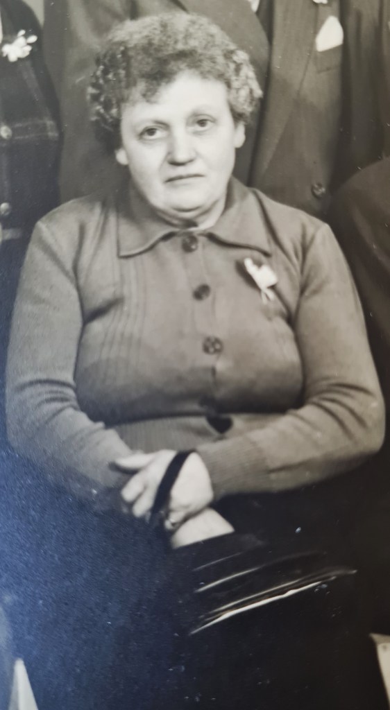 genealogiefamille.com - Famille Agier